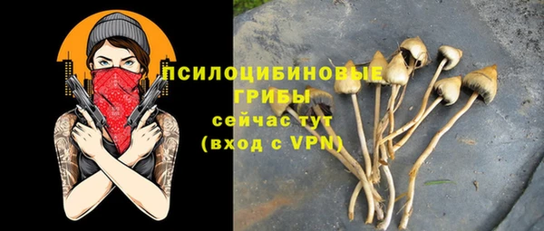 скорость Алексин